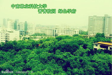 中國好大學(xué)之中南林業(yè)科技大學(xué) 林業(yè)學(xué)科的特色與優(yōu)勢