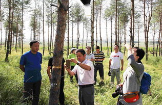 佳木斯商業 東北邊陲城市的經濟發展與機遇